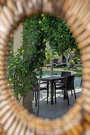 Casa Cactus Buenavista