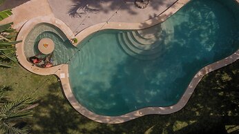 Casa Cactus Buenavista