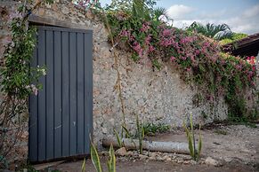 Casa Cactus Buenavista