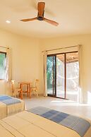 Casa Cactus Buenavista