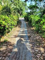 The Jungle