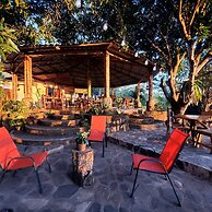 The Jungle