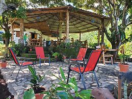 The Jungle
