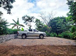 The Jungle