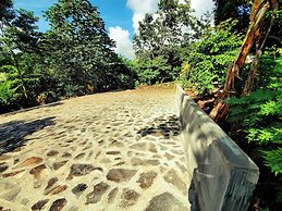 The Jungle