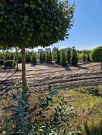 Hotel Thesdorfer Hof