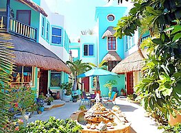 Casa Gatos