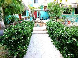 Casa Gatos