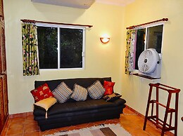 Casa Gatos