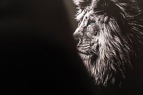 NEW 6bedrooms Pool At Solterra