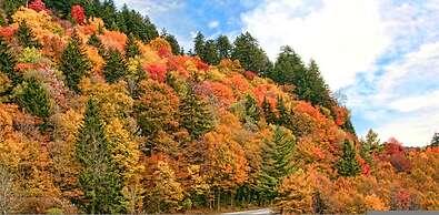 Private 15 Acres w Pond Hot Tub Game Room