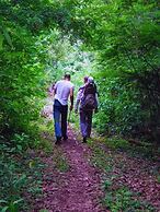 Modern House in Nature at Villa Monte Reserve