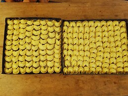 Modern House in Nature at Villa Monte Reserve