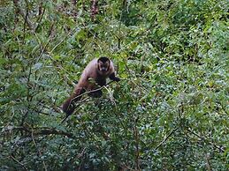 Modern House in Nature at Villa Monte Reserve