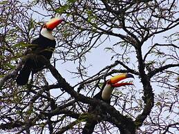 Modern House in Nature at Villa Monte Reserve