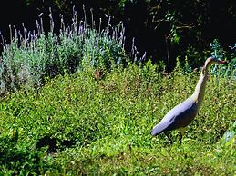 Modern House in Nature at Villa Monte Reserve