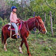 Modern House in Nature at Villa Monte Reserve