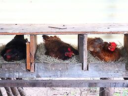 Modern House in Nature at Villa Monte Reserve