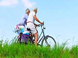 6 Person Holiday Home in Aabenraa