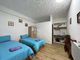 Cozy Studio in Zizkov, Prague