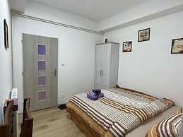 Cozy Studio in Zizkov, Prague