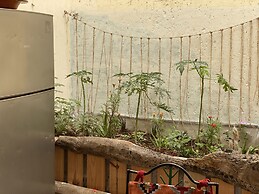 Anza Surf Life - BC Adventure