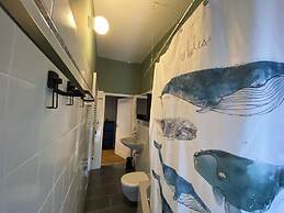 Room-spacious Room in Coliving Apartment