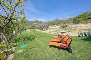 Ricomilla Holiday - Ulivo Innamorato