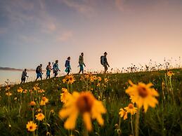Spacious Apartment With Terrace