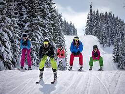 Attractive Chalet on the Ski-slopes