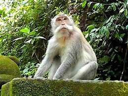 Gilded Palms Villa, Ubud Payangan, Bali