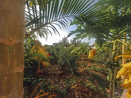 Sea Breeze Villas Nungwi