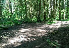 54sl - Hot Tub - Pets OK - Sleeps 4