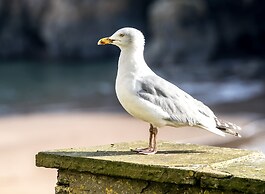 Windermere House - Sea Views Close to Harbour