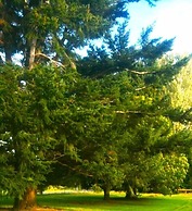 Taringatura Backpackers