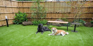 Rakuten STAY TERRACE Hakone Kowakudani