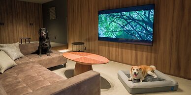 Rakuten STAY TERRACE Hakone Kowakudani