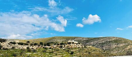 Prestigious Villa Olimpo With Pool And Sea View