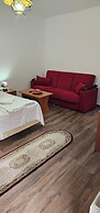 Guesthouse Casa Baciu