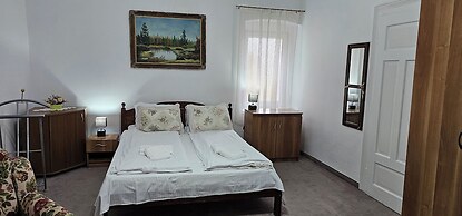 Guesthouse Casa Baciu