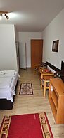 Guesthouse Casa Baciu