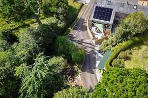 Woodpeckers in Marldon