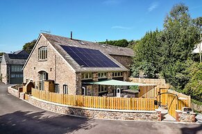 Woodpeckers in Marldon