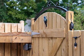 Woodpeckers in Marldon