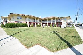 Virginian 4 1 Bedroom Apts