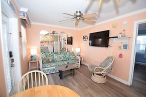 Virginian 4 1 Bedroom Apts