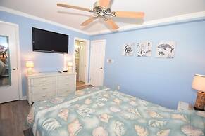 Virginian 4 1 Bedroom Apts