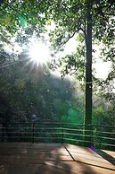 Penginapan Alam DGlorious CraterKamojang