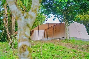 Penginapan Alam DGlorious CraterKamojang