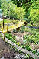 Penginapan Alam DGlorious CraterKamojang